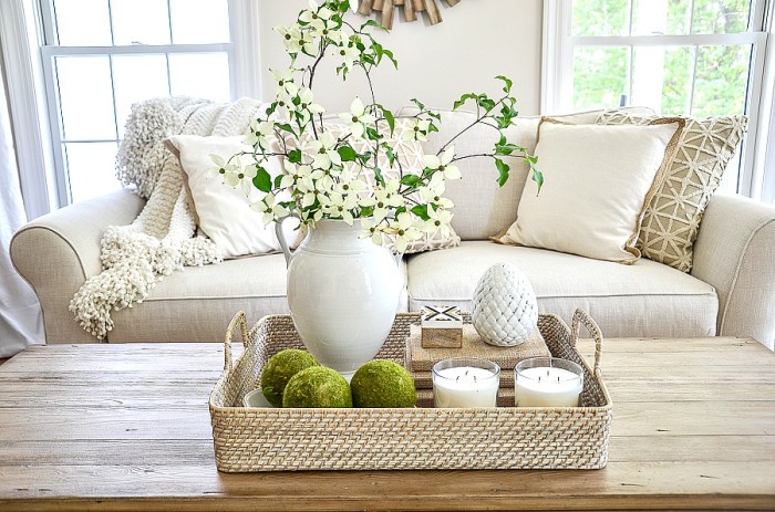 Coffee table decor ideas with tray