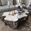 Modern Coffee Table Decor Style Guide