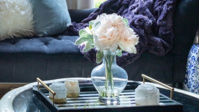 Coffee table decor ideas with tray