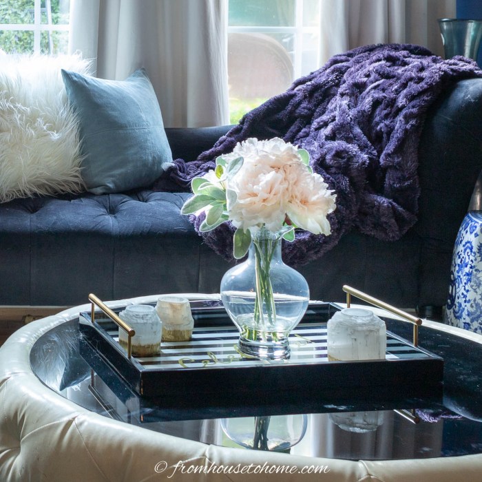 Coffee table decor ideas with tray