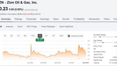 Zion Oil & Gas Stock Price A Comprehensive Analysis