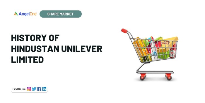 Hindustan unilever stock price