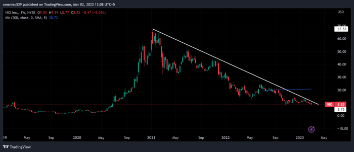 Nio stock price prediction 2030