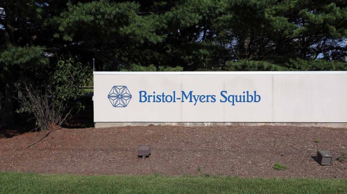 Bristol myers squibb stock price