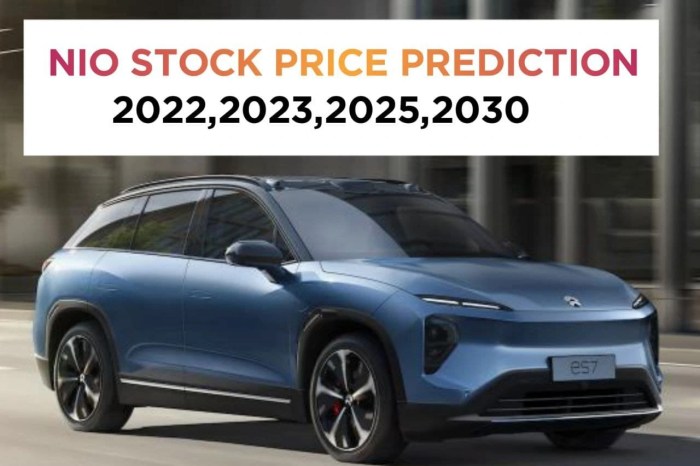 Nio stock price prediction 2030