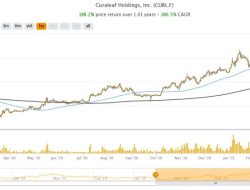 CURLF Stock Price A Comprehensive Analysis