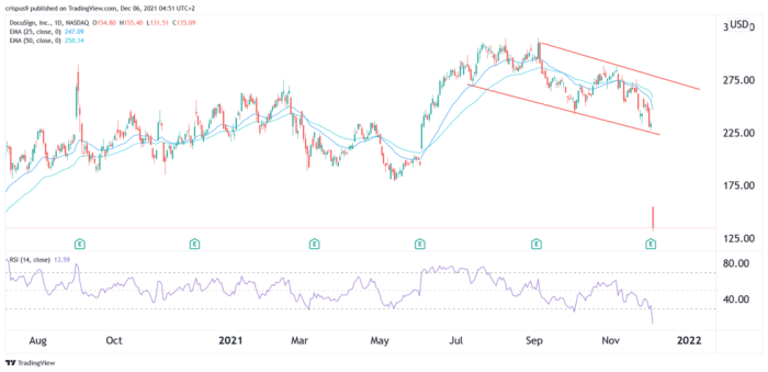 Docusign stock price