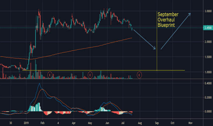 Stock price fmcc