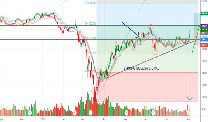 Wmb stock price