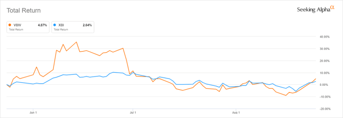 Vbiax stock price