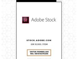 Stock Price Adobe A Comprehensive Analysis